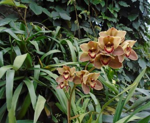 005